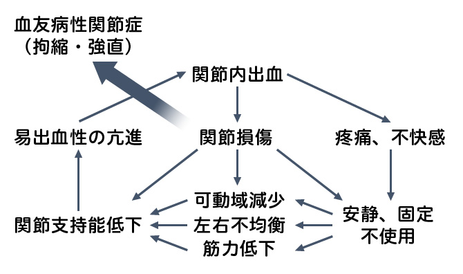 血友病関節症の悪循環<!--(瀧ら)-->