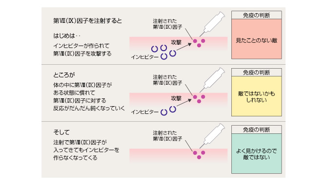 血友病インヒビター - 免疫寛容療法のメカニズム