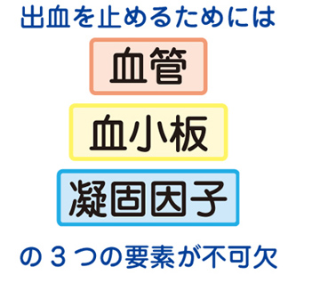 出血を止めるためには【血管】【血小板】【凝固因子】の3つの要素が不可欠