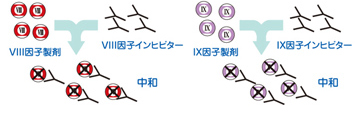 病原体・異物の認識【図2】（血友病基礎講座）