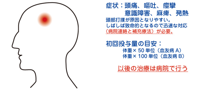 頭蓋内出血 脳出血 乳幼児の頭部打撲 出血時補充療法 出血の種類と初期投与量 ヘモフィリアステーション