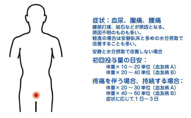 血友病の情報サイト					ヘモフィリアステーション							血尿の症状と出血時の補充療法について